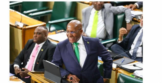 Minister Aubyn Hill addresses the Senate during debate on the NaRRA Bill at Gordon House.
