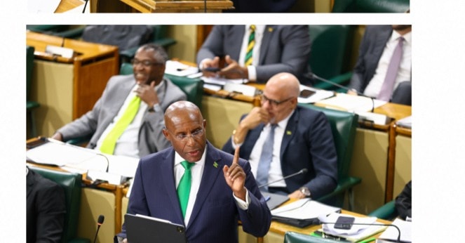 The Senate chamber at Gordon House during debate on the NaRRA Bill.